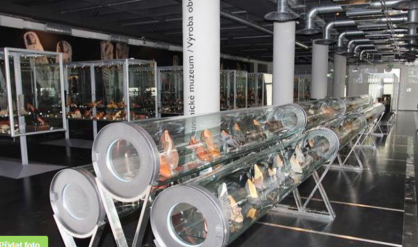 Obuvnické muzeum, 1,4 km